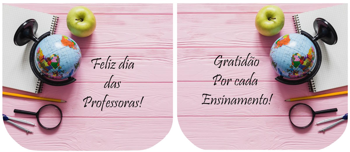 Necessarie Porta Moedas Dia dos Professores Globo Fundo Rosa - Sintetico Doll