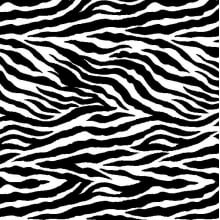 Zebra textura 1039tk