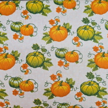 Abóbora fundo rosa SG 003