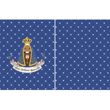 Necessarie Porta Moeda Nossa Senhora Fundo Azul Coração - Sintético Doll