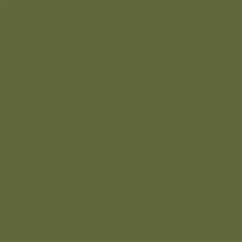 Tecido Tricoline Liso 100% Algodão Verde oliva d689