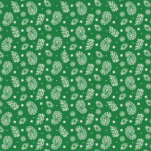 cachemir fundo verde BAndeira 1313v133